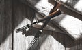 Two old vintage forks on a wooden rustic table background. Contrasting sunlight from the window and shade. Top view Royalty Free Stock Photo