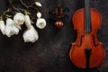 Two Old violins and blossoming magnolia brances. Top view, close-up on dark vintage background