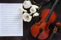 Two Old violins and blossoming magnolia brances on the white note paper. Top view, close-up Royalty Free Stock Photo