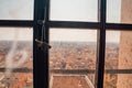 Two old windows covered with roots and plants Royalty Free Stock Photo