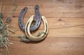 Two old worn horseshoes and dry grass of clover and cereals on the background of old wooden planks. Royalty Free Stock Photo