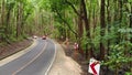 Two oncoming cars drive along a narrow asphalt road in a dense jungle forest. Man-made forest, Philippines, Bohol