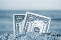 Two one dollar bills half buried in sand on sandy seashore close-up. Royalty Free Stock Photo