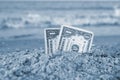 Two one dollar bills half buried in sand on sandy seashore close-up. Royalty Free Stock Photo