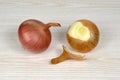 Two onion cloves Royalty Free Stock Photo