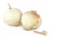 Two onions Royalty Free Stock Photo