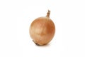 Two onions isolated on a white background Royalty Free Stock Photo