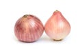 Two onions isolated on white background Royalty Free Stock Photo