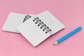 Two open notebooks on a pink background with a blue pencil