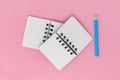 Two open notebooks on a pink background with a blue pencil. Top view