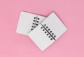 Two open notebooks on a pink background, top view