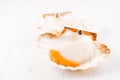 Two open raw scallops, on white wood Royalty Free Stock Photo