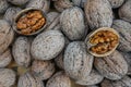 Two Open Walnuts Showing Kernels Close Up Texture Background Royalty Free Stock Photo