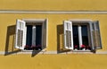 Two open windows with flowers