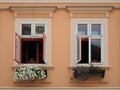 Two opened windows with flowers