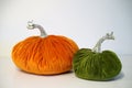 Two opposing velvet pumpkins Royalty Free Stock Photo