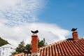 Two orange brick chimneys on a tile roof and against the backdrop of a white house and a blue sky. Royalty Free Stock Photo