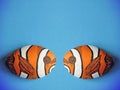 Two orange fish painted on stone