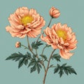 Peach Peonies: A Vibrant Fusion Of Ancient Chinese Art And Scientific Illustrations