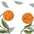 Two Orange Flowers Roses with green leaves Square Postcard Royalty Free Stock Photo