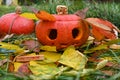 Autumn garden decorated with orange pumpking for Halloween.