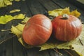 Two orange Hokkaido pumpkins lie on a wooden table among the leaves of a maple tree. Little Pumpkins - Home Decorations Royalty Free Stock Photo