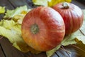 Two orange Hokkaido pumpkins lie on a wooden table among the leaves of a maple tree. Little Pumpkins - Home Decorations Royalty Free Stock Photo