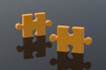 Two orange jigsaw puzzle pieces on a black background with mirror reflection