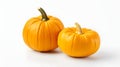 Two orange pumpkins. Pumpkin as a dish of thanksgiving for the harvest, picture on a white isolated background Royalty Free Stock Photo