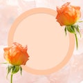 Two orange roses flower on cream circle on blur flowers background, banner, template, copy space