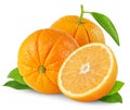 Two oranges Royalty Free Stock Photo