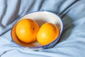 Two oranges fruit on a white ceramic bowl Royalty Free Stock Photo