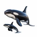 Two Orcas Swimming Together In The Ocean On A White Background Royalty Free Stock Photo