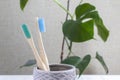 Two organic bamboo toothbrushes in ceramic holder.