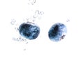 Two organic Blueberry sinking into water with air bubbles white background. Macro detailed closeup Royalty Free Stock Photo