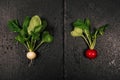 Organic delicious radishes on black background.