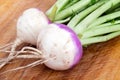 Two organic purple top turnip