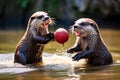 two otters playing catch with a ball Royalty Free Stock Photo