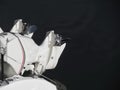 Two outboard boat motors tuned up and trying on the first run Royalty Free Stock Photo