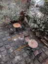 Two Outdoor Seatings Surrounded by the Plants Royalty Free Stock Photo