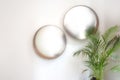 Two oval round mirrors on white wall with green house plant modern interior, blurred mirrors retro design Royalty Free Stock Photo