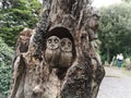 Two owls carved into a tree