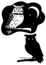 Two owls Royalty Free Stock Photo
