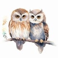 Owls Perched on Tree Branch Royalty Free Stock Photo