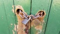 Two Padlocks and Chain on Green Doors With Worn Paint Royalty Free Stock Photo