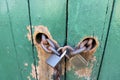 Two Padlocks and Chain on Green Doors With Worn Paint Royalty Free Stock Photo