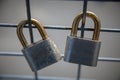 two padlocks on a fence love symbol romance concept couple forever long term relationship Royalty Free Stock Photo