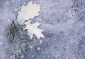 Two painted oak leaves and a snow-covered pine branch on a gray background Royalty Free Stock Photo