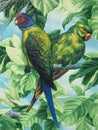 Two painted parrots