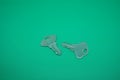 Two pair stainless key isolated on green
